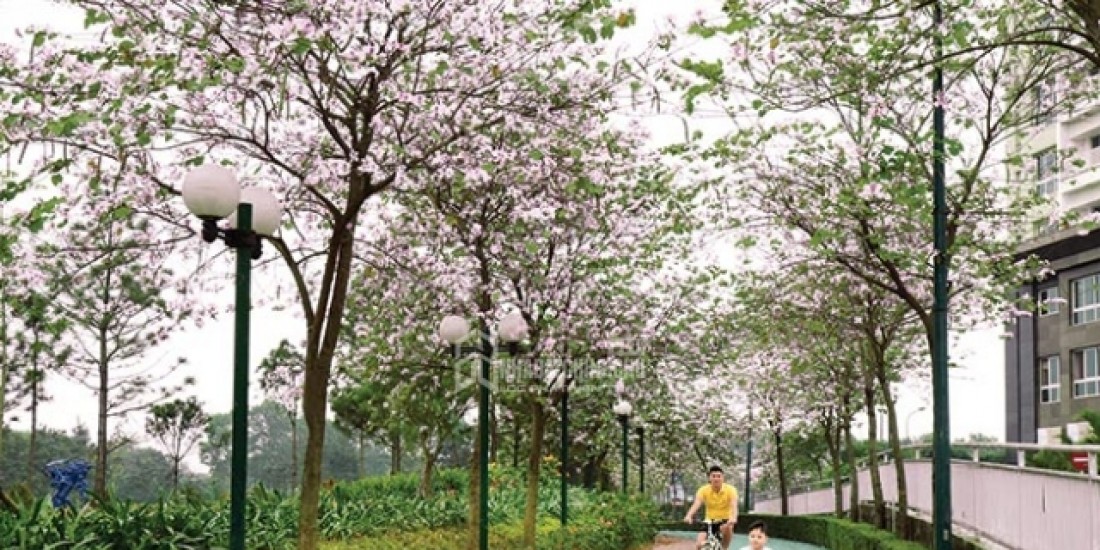 GARDENVILLE TÂY HỒ